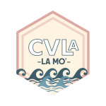 Elections aux CVLA